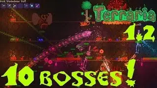 Terraria 10 Bosses! [Серия 29]