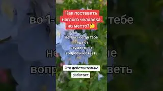Как поставить наглого человека на место?/ How do you put an insolent person in their place?