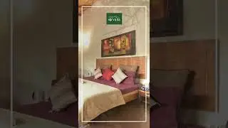 Cottage Nirvana: Where Tranquility Meets Nature | Tree House Retreat and More!
