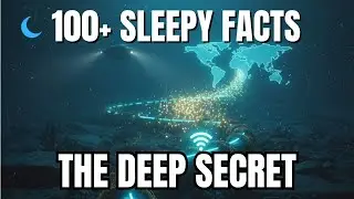 How 99% of the Internet Travels Through the Sea [Deep Dive for Sleep]
