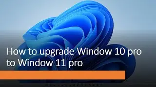 How to upgrade Window 10 Pro to Window 11 Pro​