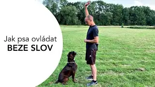 #58 POSUNKOVÉ POVELY - Jak ovládat psa beze slov