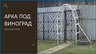 #Арка под дикий виноград