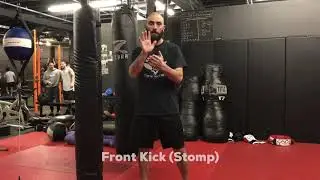 Defensive Kick (Stomp)