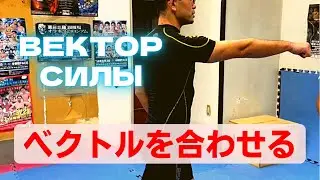 【空手】ベクトルを合わせる