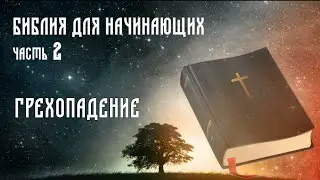 Грехопадение. Библия для начинающих. Жизнь первых людей