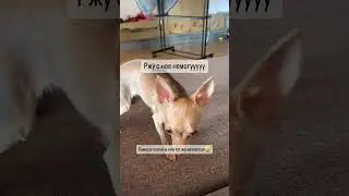 Артистка, эта Пинки😂
