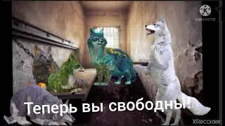 meme вы свободны, отомстите людям //💧💨🔥🌿//
