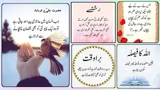 Motivational Quotes and Thoughts | Best Urdu Quotes on Life | islamic motivational speech Urdu 