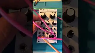 Mutable Rings Clone - Out now! - Kits and Completes!