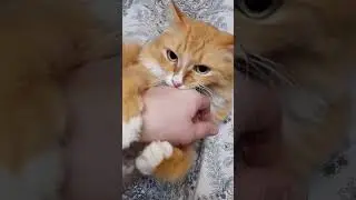 Махаца будешь?!)))