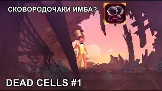 Сковородочаки Dead cells имба? Что известно о 35 update и многое другое