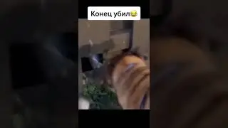 конец убил)