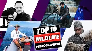 Top 10 Wildlife Photographers To Immerse In Nature!