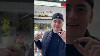Sí ADIVINAS, te lo COMPRO!!! 🤑😱 *Una MOTO* 