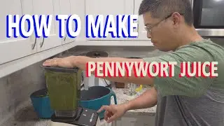 How to make Pennywort Juice - Green Leaf Juice - Rau Ma - GardenHula