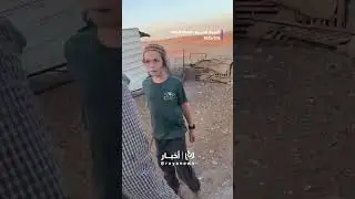 ‘Israeli’ settlers assault Bedouin family east of al-Taybeh