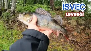 Kendi Rekorumu Kırdım! İsveç Tatlısu Levrek avı!