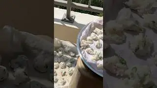 #shorts 😋😋அரிசி வடகம் first try #food #minivlog #noorulskitchen #shortsfeed #familyvlog #viral