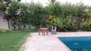 Tiger Kid.