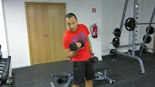 Como fazer corretamente curl com halteres?