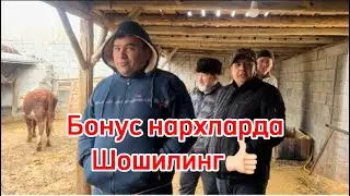 Бонус нархларда бокувга таййорларидан 👍🏻 манзил Куконда 903057667 917409091