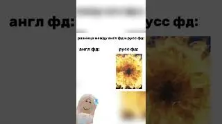 #roblox