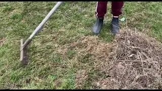 субботник