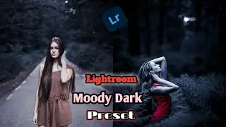 Lightroom moody dark preset || Lightroom effect || Lightroom tutorial  ||