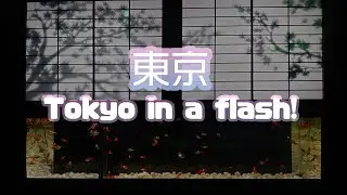 Tokyo In A Flash