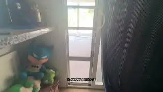 My dog loves this doggy door from Amazon!