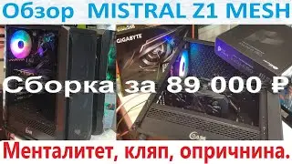 Сборка ПК за 89 000₽. Обзор корпуса Powercase MISTRAL Z1 MESH LED. Про менталитет, кляп, опричнину21