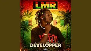 DÉVELOPPER - LMR