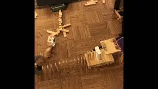 Watch dominoes fall over themselves in panic