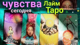 ЛАЙМ ТАРО | Что чувствует ко мне сегодня | Таро гадание онлайн