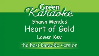 Shawn Mendes - Heart of Gold (Karaoke) Lower Key