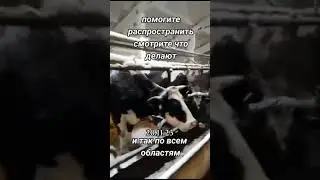 26 ноября 2023 г.