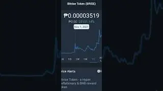 Bitgert Brise Token