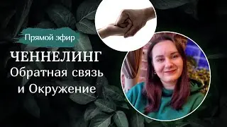 Как обратная связь и твое окружение влияет на качество твоей жизни