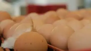 Video per Uova Naturissime