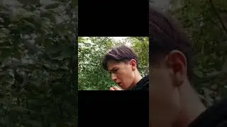 это лучше чем чипсы!🥔🥔
