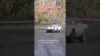 Il mito! Lancia Stratos, Se ami veramente i Rally Seguici ♥️ 