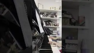 shelter piano + vocals