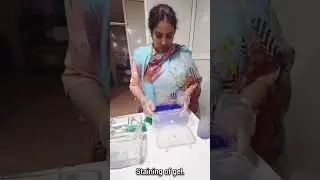 Sodium Dodecyl Sulphate Polyacrylamide Gel Electrophoresis...