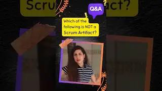 Which of the following is not a Scrum Artifact? 