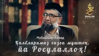 Қалбларимиз сизга муштоқ, йа Росулаллоҳ! | МУБАШШИР АҲМАД
