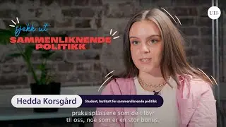 Samanliknande politikk, bachelor, UiB