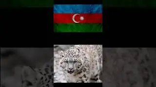 Государственные животные разных стран!!!🐃 
