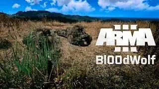 Arma 3 - снайперская пара.