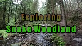 Hiking Through Snake Woodland In The Peak District